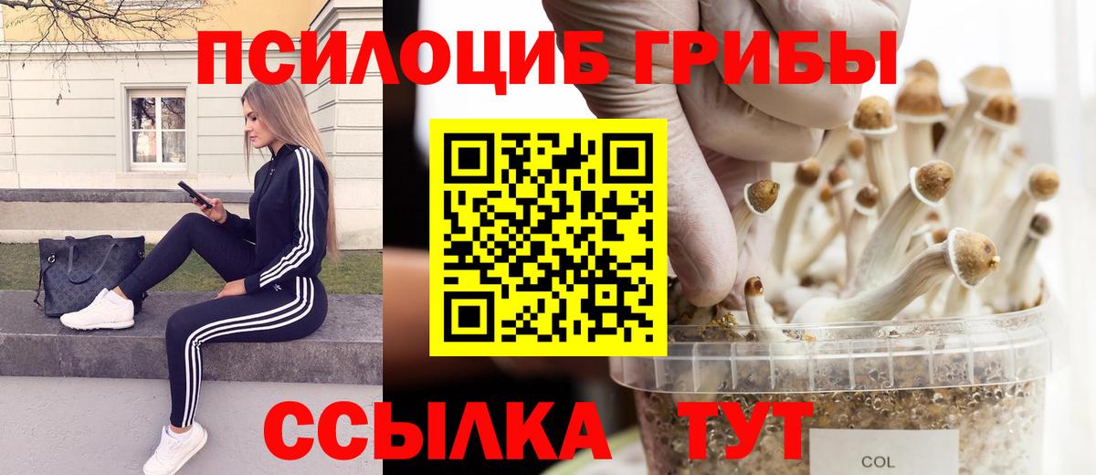 Гай  Псилоцибиновые грибы прущие грибы  Вход с VPN 