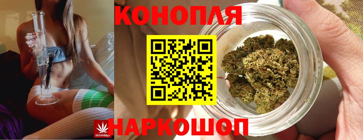 Гай  МАРИХУАНА ГИДРОПОН  Вход с VPN  МАРИХУАНА семена  Бошки марихуана White Widow 